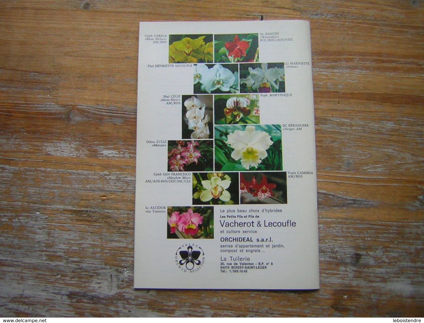 L'ORCHIDOPHILE Onzieme Année BULLETIN N° 41 AVRIL 1980 - Jardinería