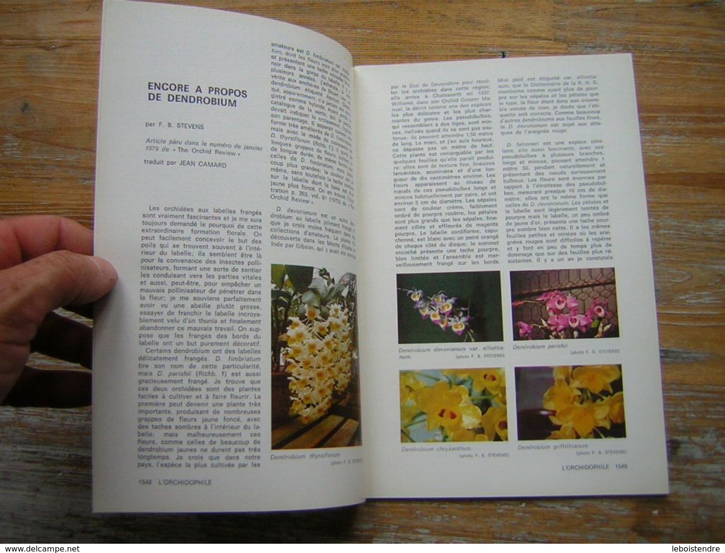 L'ORCHIDOPHILE Onzieme Année BULLETIN N° 42 JUIN 1980 - Garden