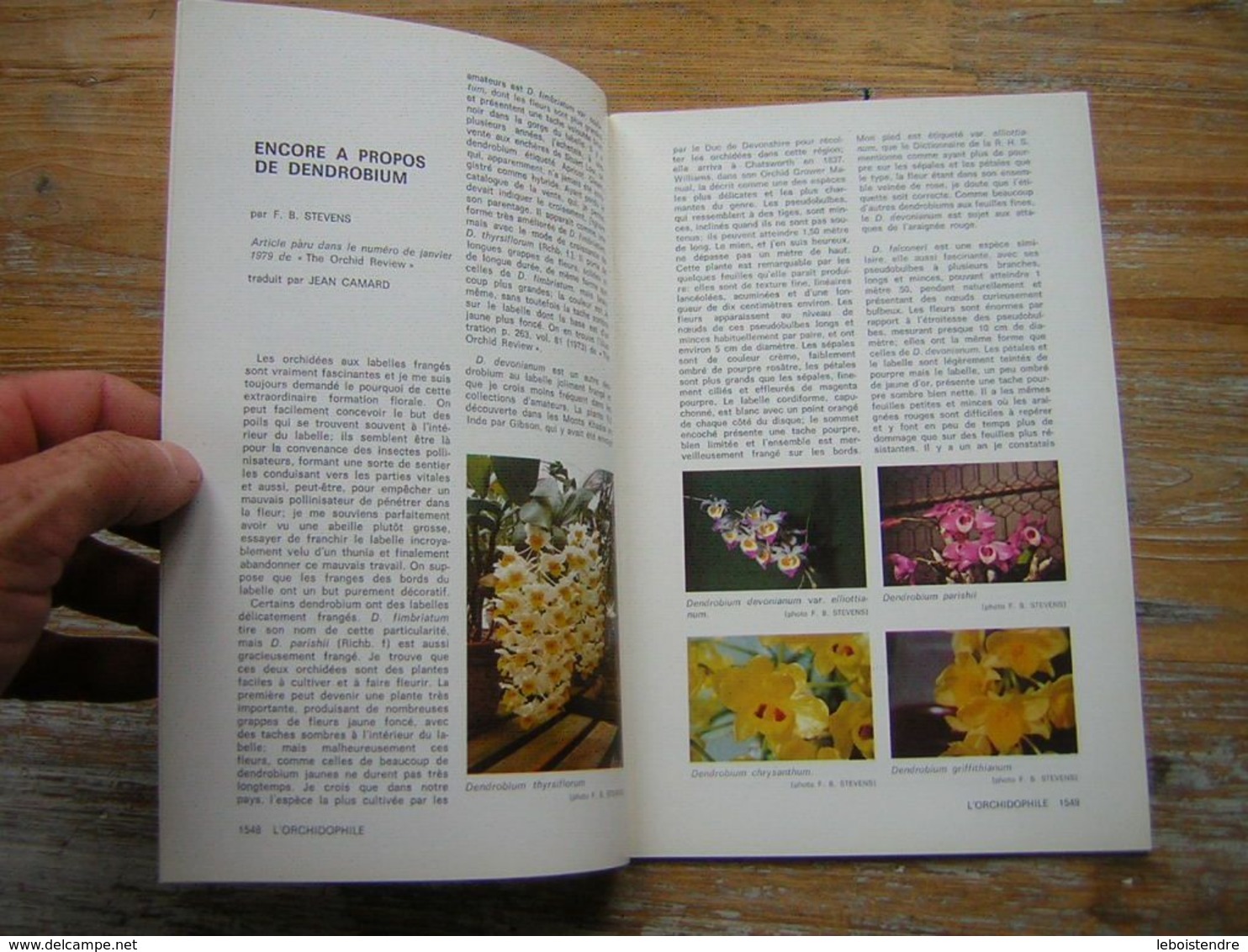 L'ORCHIDOPHILE Onzieme Année BULLETIN N° 42 JUIN 1980 - Jardinería