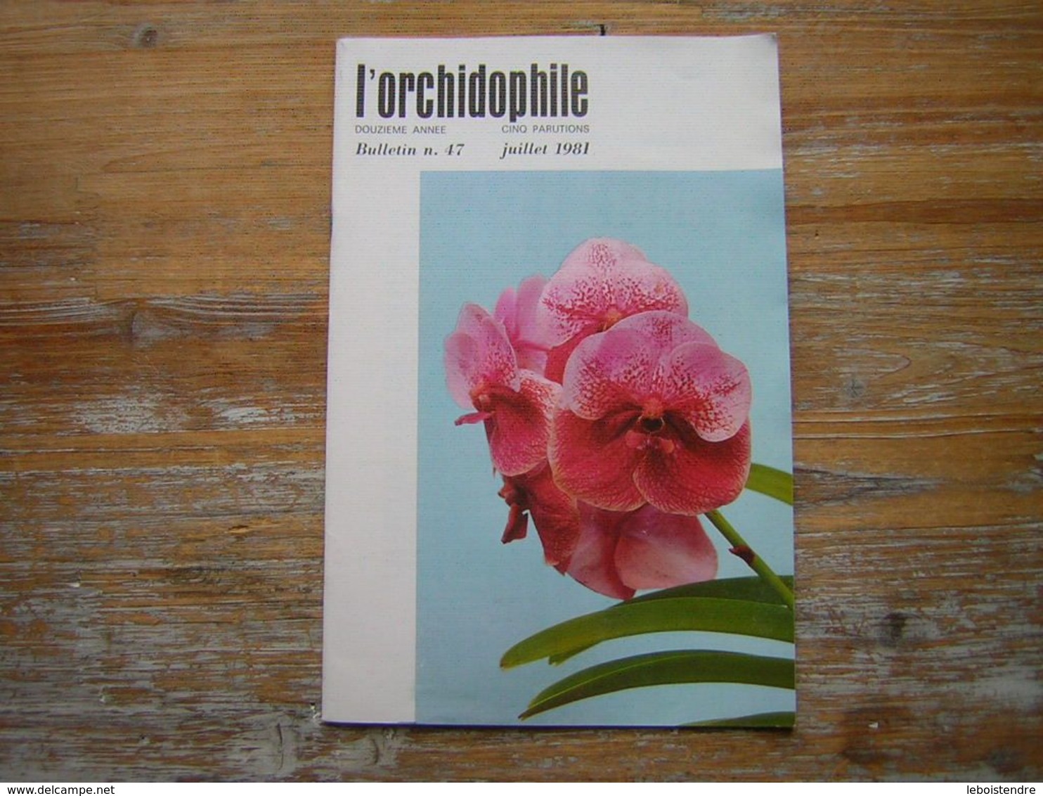 L'ORCHIDOPHILE Douzieme Année BULLETIN N° 47 JUILLET 1981 - Tuinieren