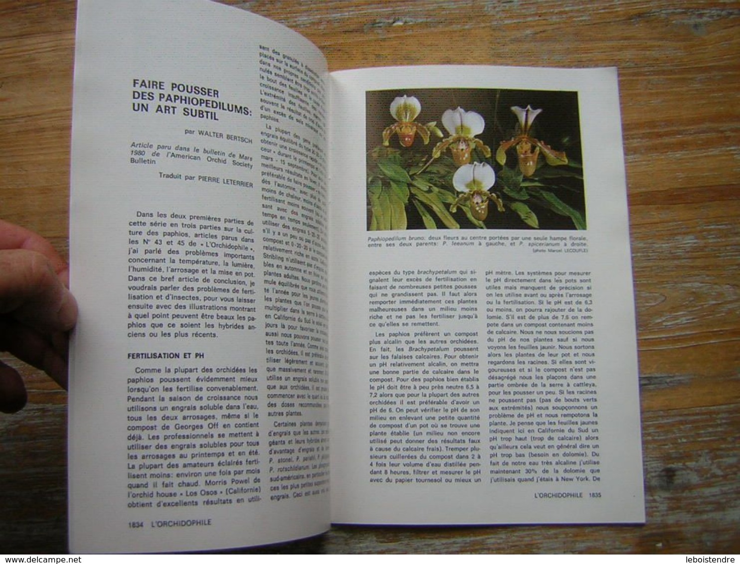 L'ORCHIDOPHILE Douzieme Année BULLETIN N° 47 JUILLET 1981 - Jardinería