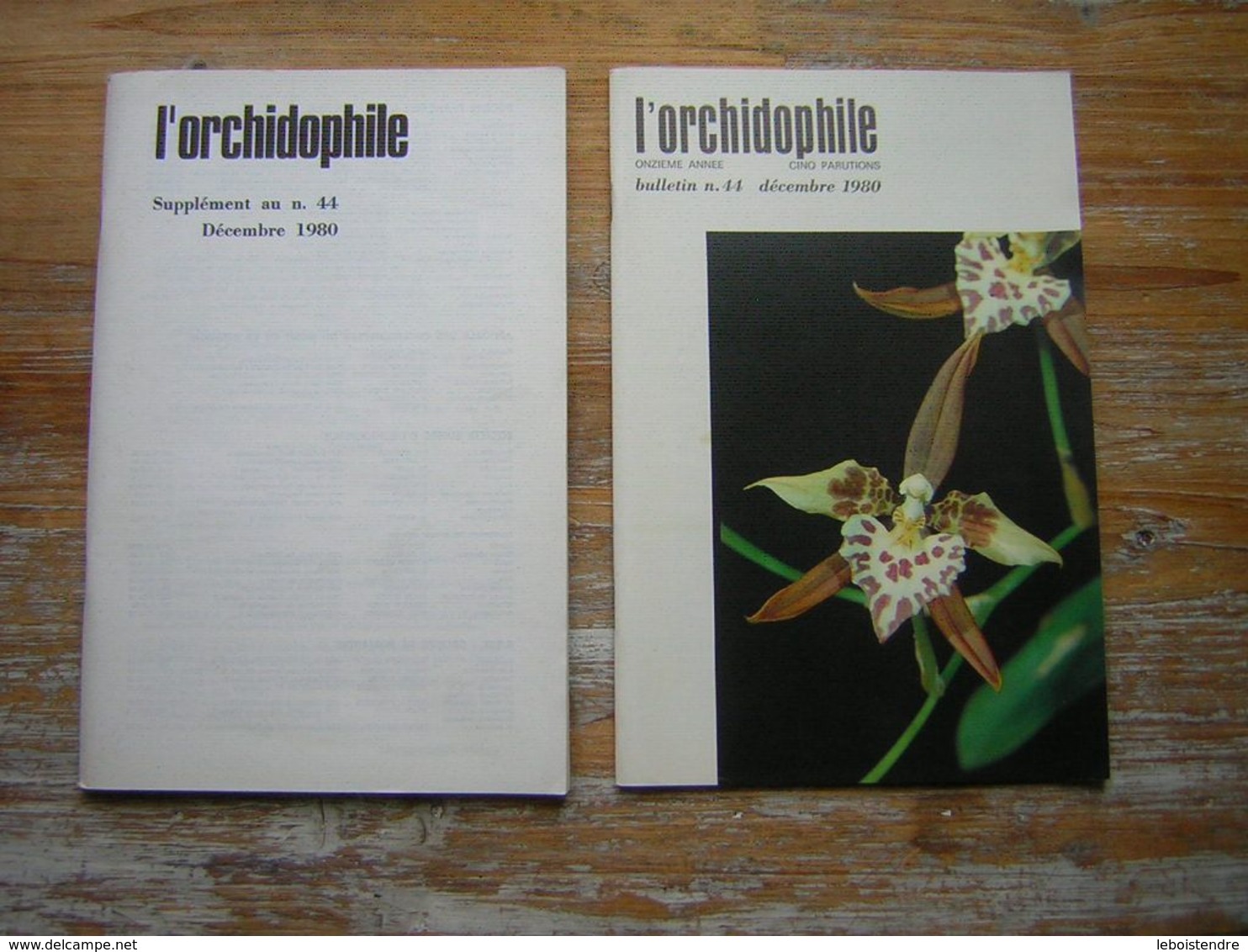 L'ORCHIDOPHILE Onzieme Année BULLETIN N° 44 DECEMBRE 1980 + SUPPLEMENT - Jardinería