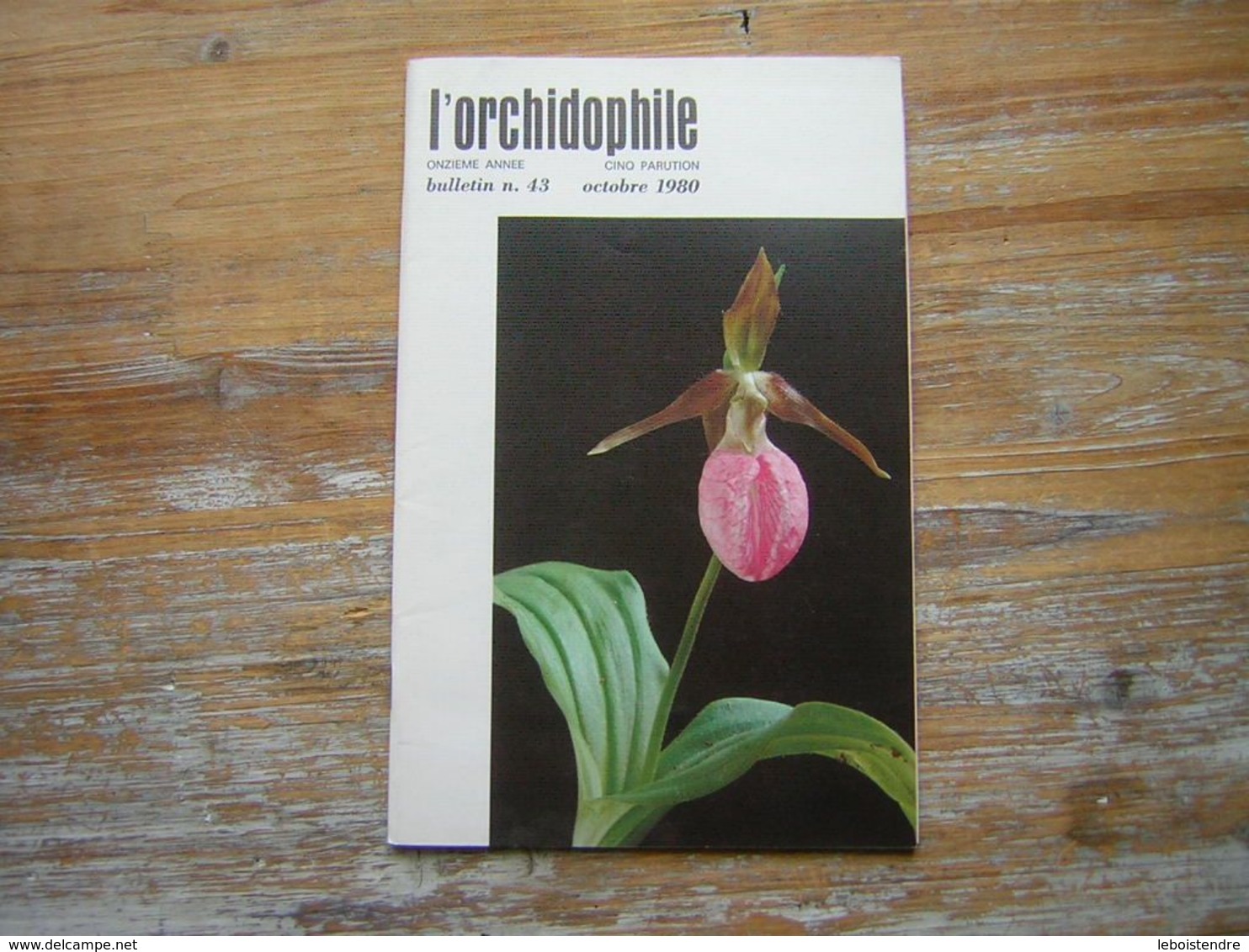 L'ORCHIDOPHILE Onzieme Année BULLETIN N° 43 OCTOBRE 1980 - Jardinería