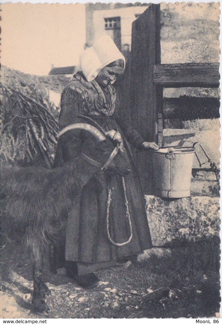 86 - VOUILLE LA BATAILLE - ET CHAMPIGNY LE SEC - COSTUME D EPOQUE - FEMME ALLANT AU PUITS AVEC UNE CHEVRE - Vouille