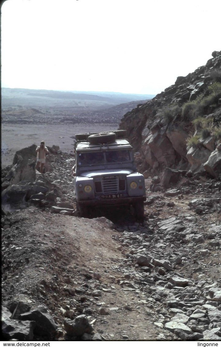 DIAPOSITIVE AVRIL 1979 DJIBOUTI Safari - Kodachrome - Diapositives