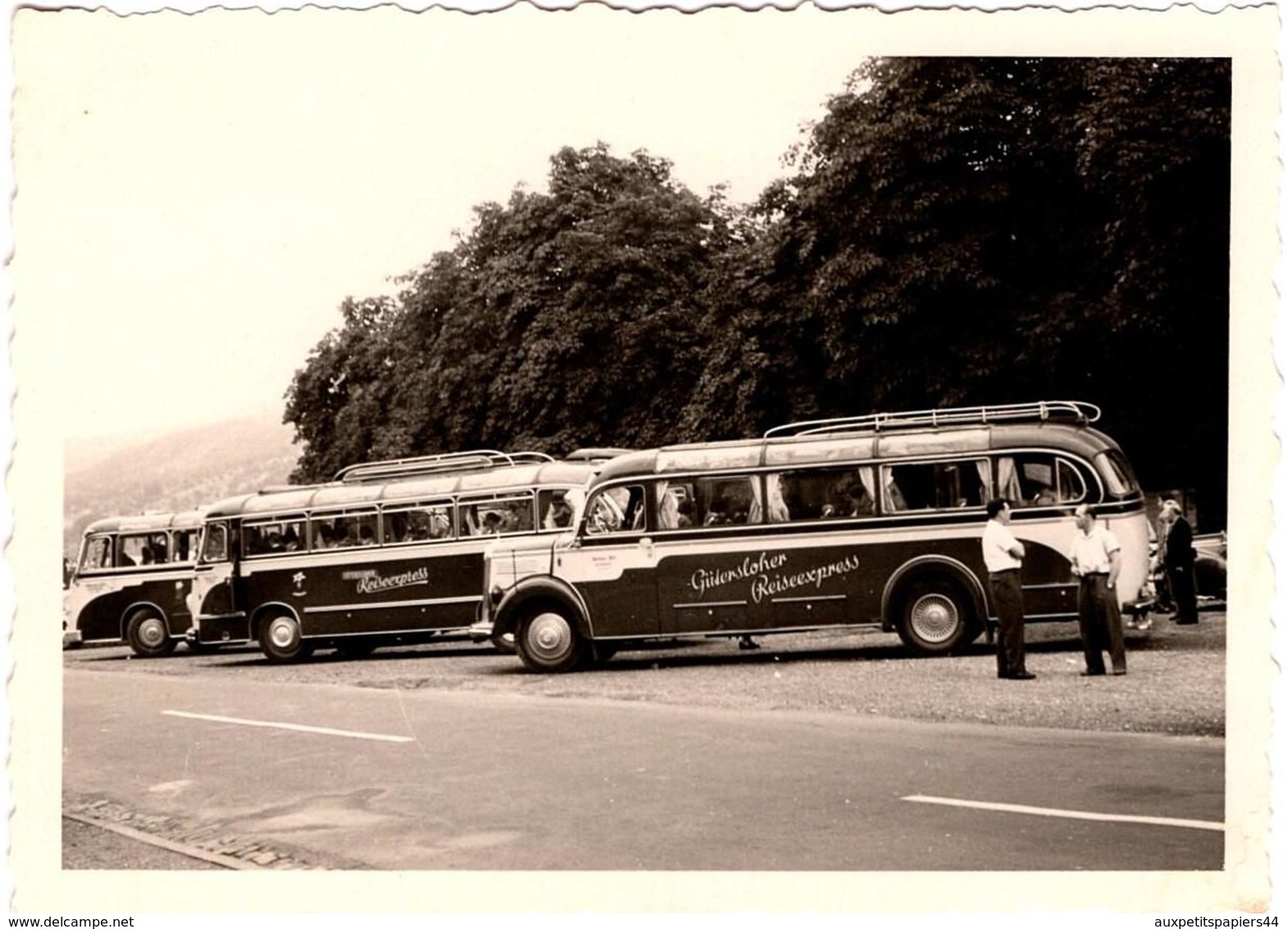 Photo Originale Bel Alignement D'Autocar & Car Güntersloher Reiseexpress En 1957 - Auto's