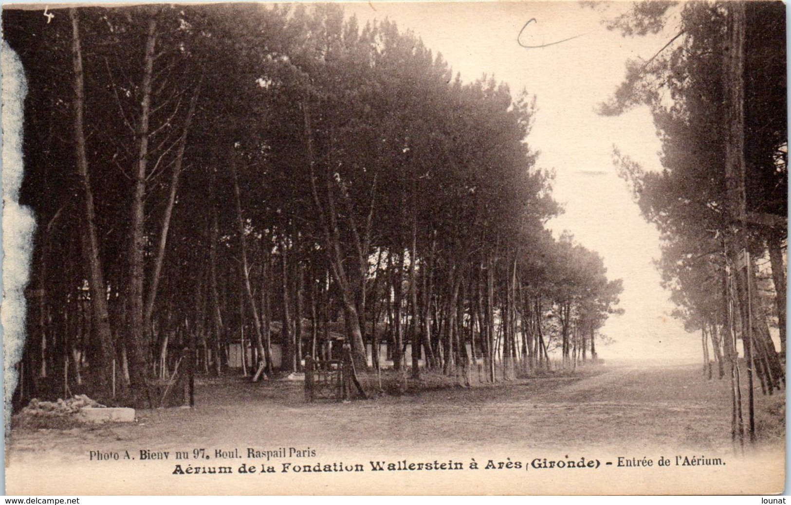 33 ARES - Aérium De La  Fondation Wallerstein - Entrée  * - Arès