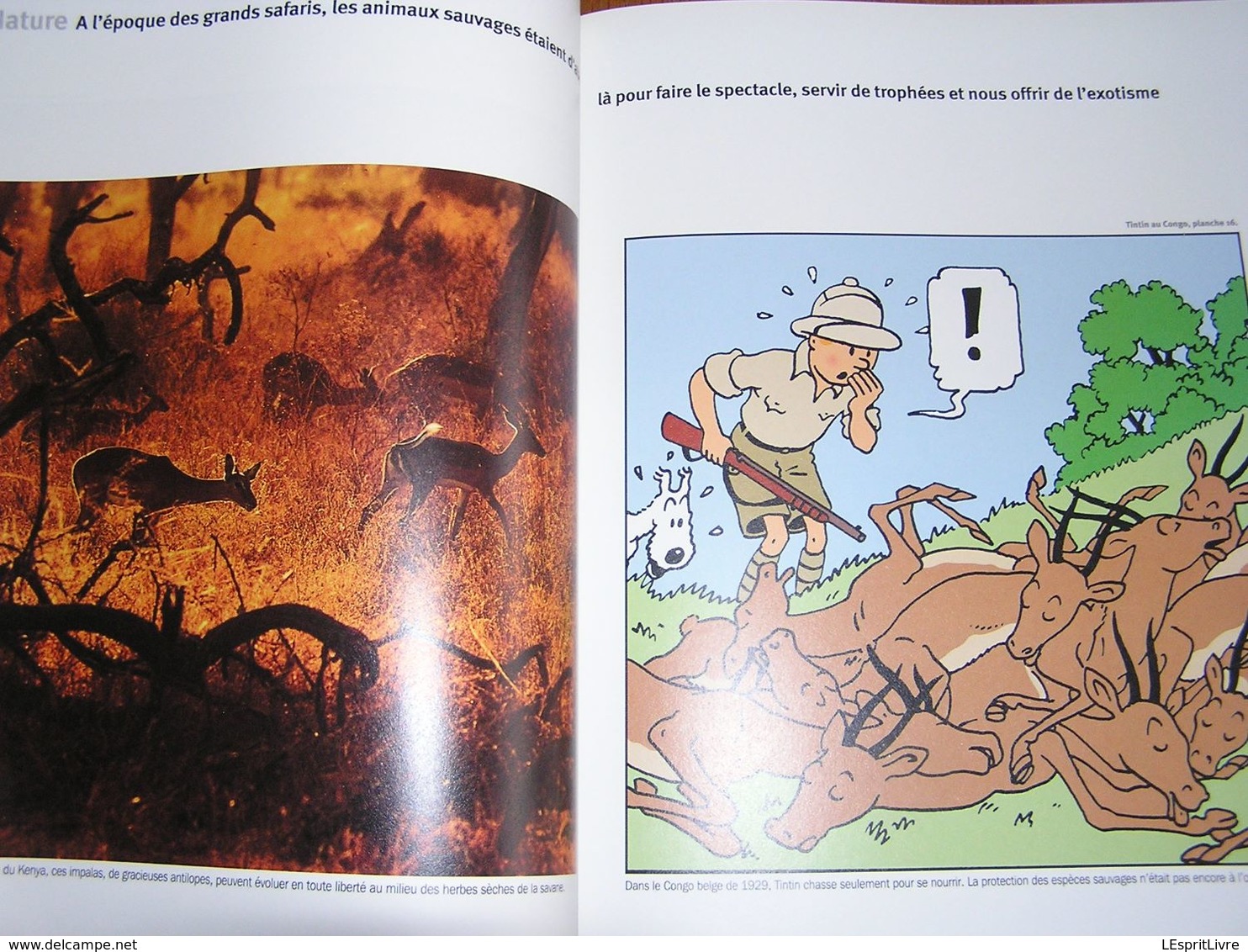 L'ALBUM GEO Tintin Grand Voyageur du Siècle Hergé Milou Tournesol Haddock Monde Bandes Dessinées BD