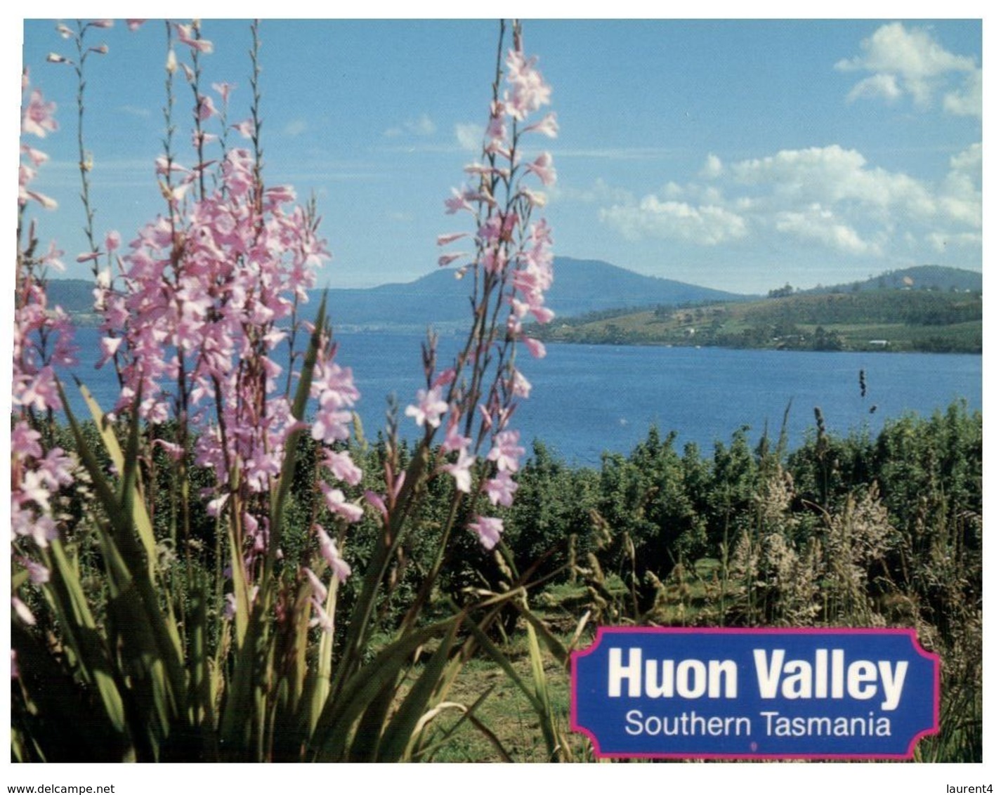 (A 4) Australia - TAS - Huon Valley - Sonstige & Ohne Zuordnung