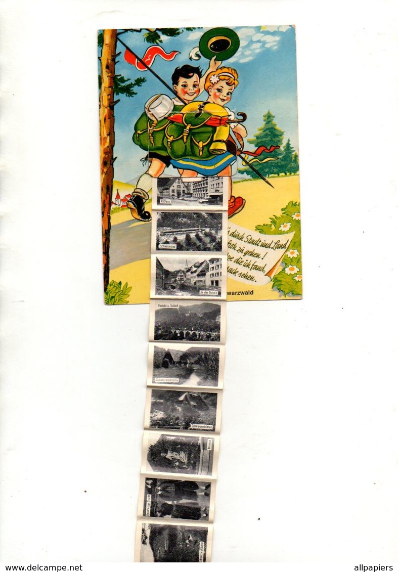 Carte Postale Avec Dépliant De Petites Photos De Hornberg En Allemagne - Hornberg