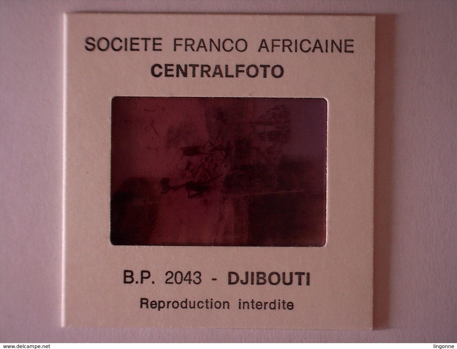 DIAPOSITIVE Société Franco Africaine CENTALFOTO DJIBOUTI Série F N°4 PUITS A BALANCIER - Dias