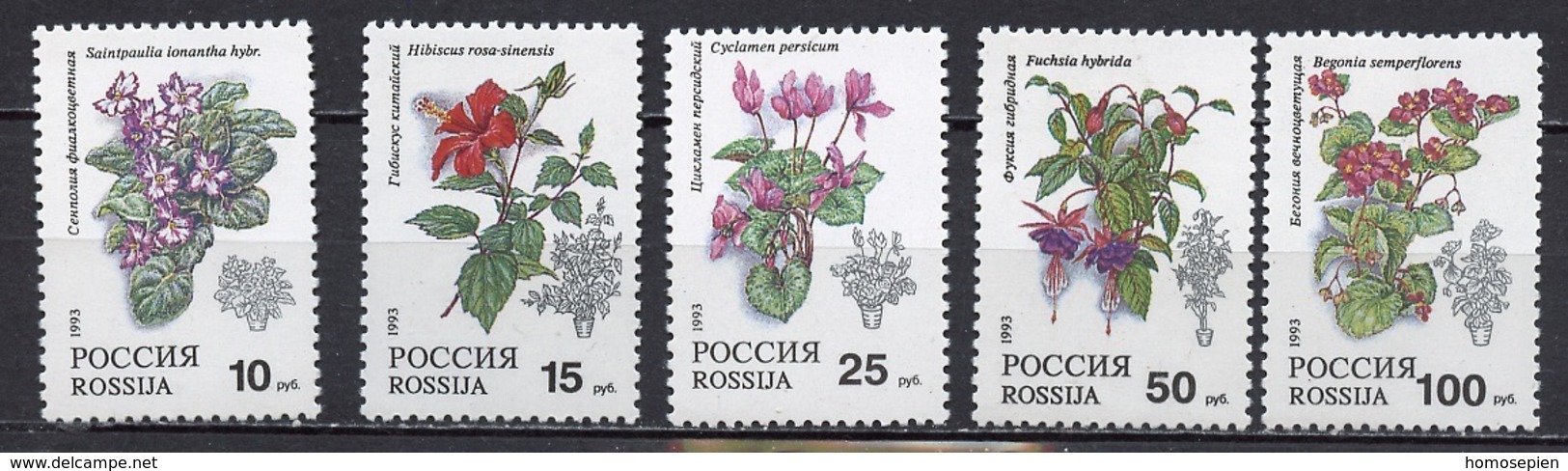 Russie - Russia - Russland 1993 Y&T N°5988 à 5992 - Michel N°296 à 300 *** - Plantes D'appartement - Unused Stamps