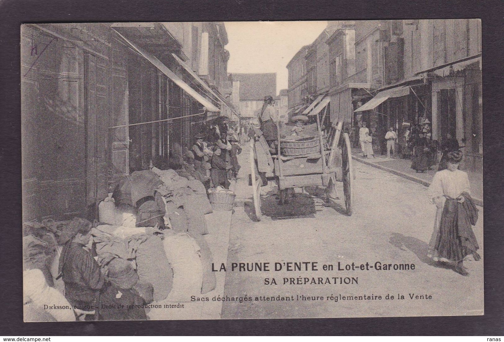 CPA Lot Et Garonne 47 Métier La Prune D'Ente Attelage Commerce Shop Circulé - Autres & Non Classés