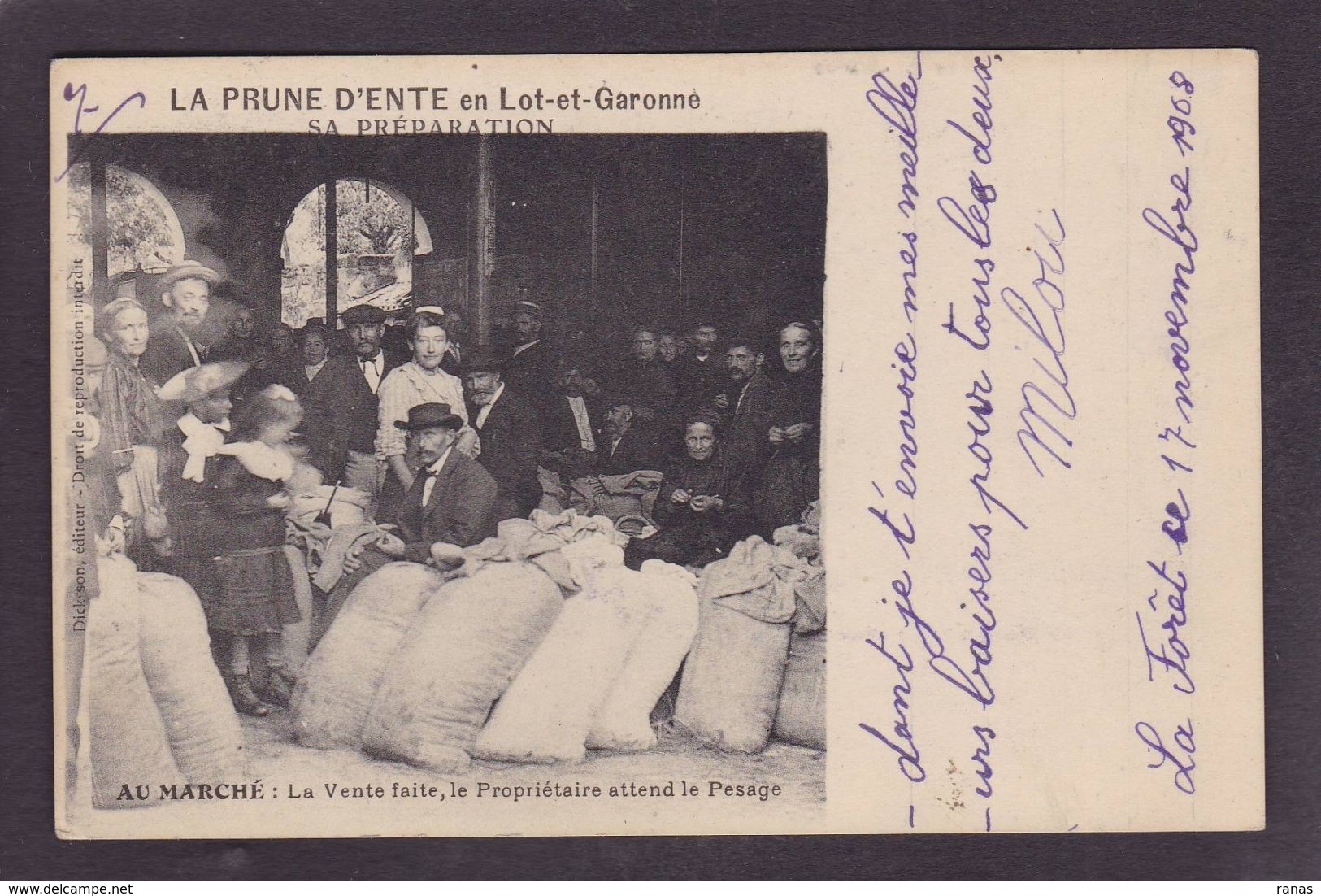 CPA Lot Et Garonne 47 Métier La Prune D'Ente Circulé - Other & Unclassified