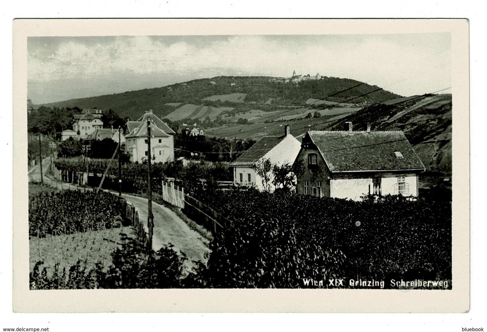 Ref 1377  - Early Real Photo Postcard - Grinzing Schreiberweg Wien Austria - Grinzing