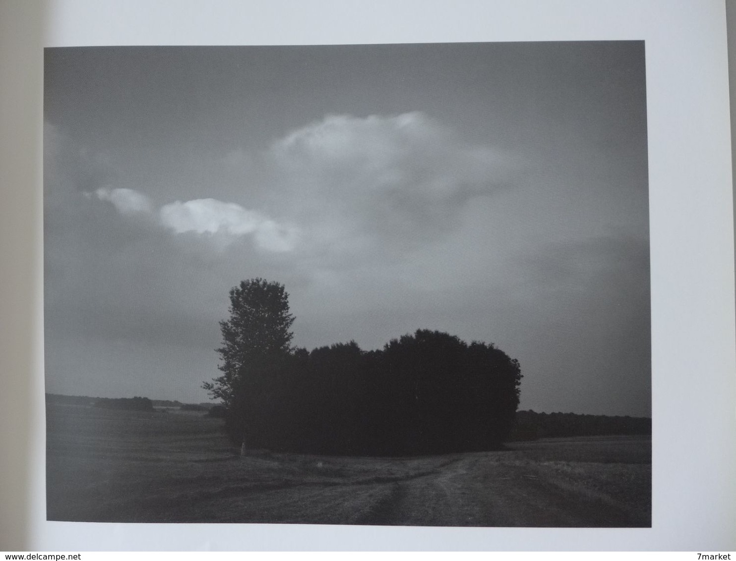 Photographie - Belfort / Les Quatre Saisons Du Territoire. L'été  /  éd. Granit-CAC - 1988 - Franche-Comté