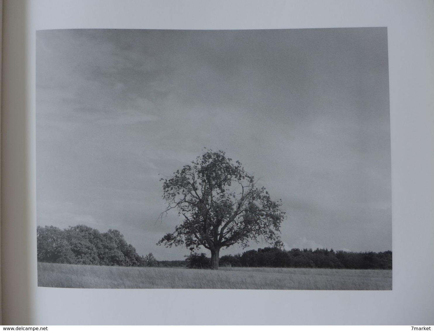 Photographie - Belfort / Les quatre saisons du Territoire. L'été  /  éd. Granit-CAC - 1988