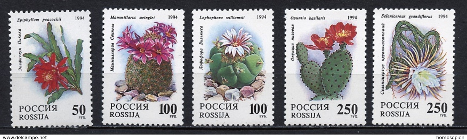 Russie - Russia - Russland 1994 Y&T N°6052 à 6056 - Michel N°364 à 368 *** - Cactées - Ungebraucht