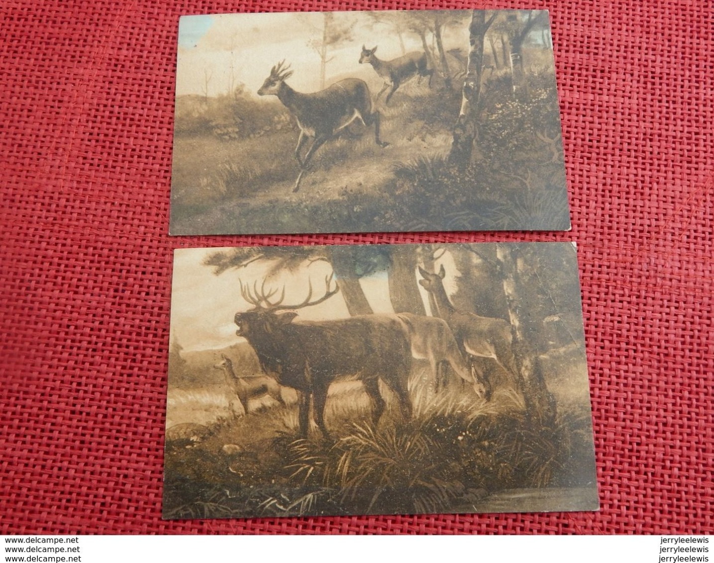 CHASSE  - SANGLIER , CERF Ert BICHES  -  Lot De 3 Cartes - Chasse