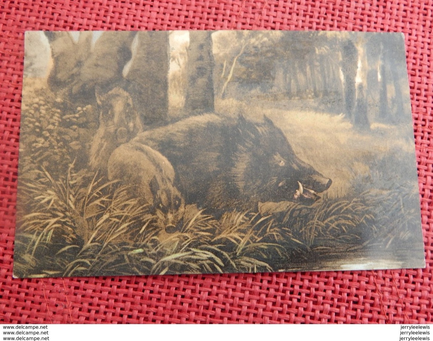 CHASSE  - SANGLIER , CERF Ert BICHES  -  Lot De 3 Cartes - Chasse