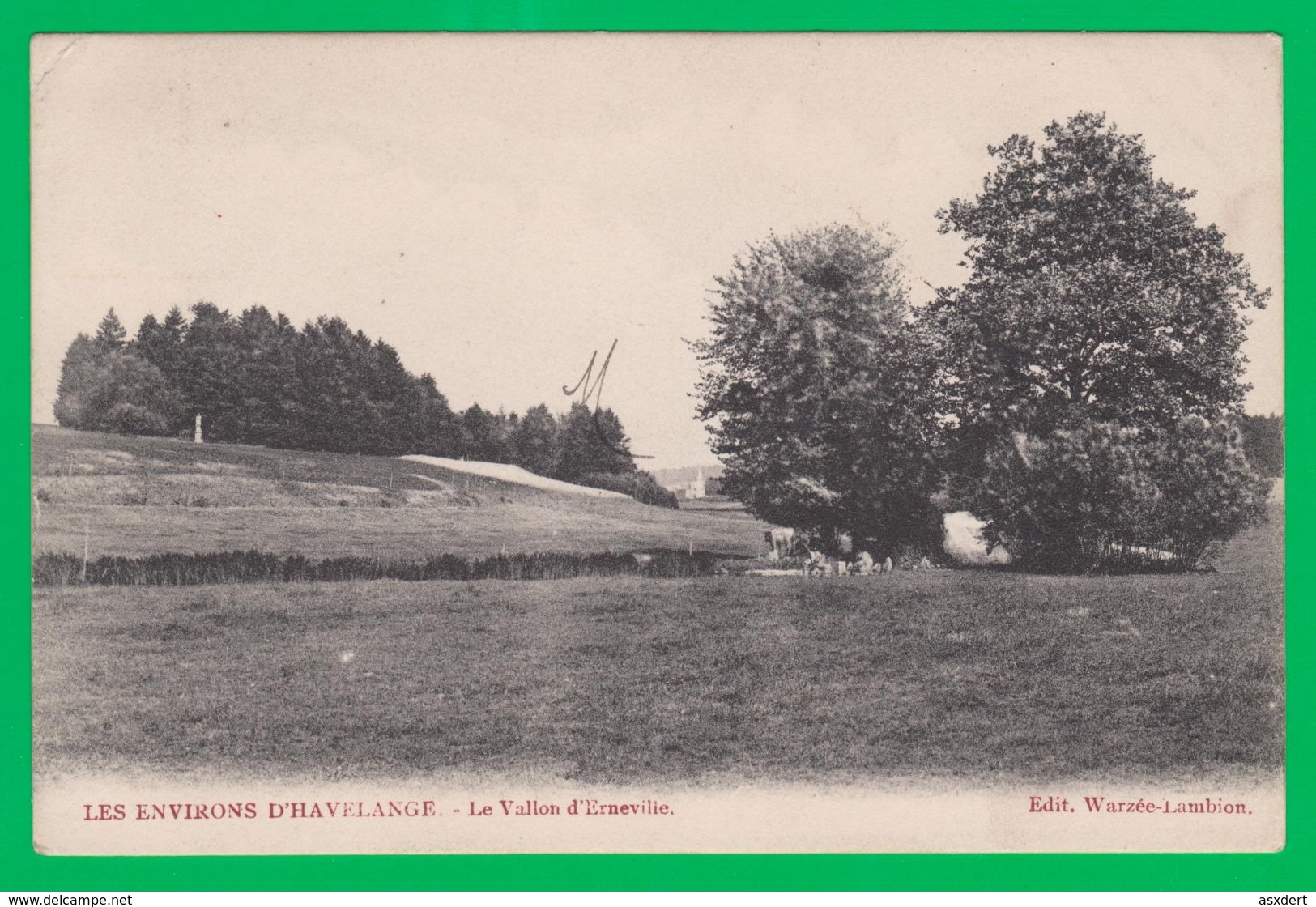 Les Environs De D'Havelange Le Vallon D'Erneville  1909 - Havelange