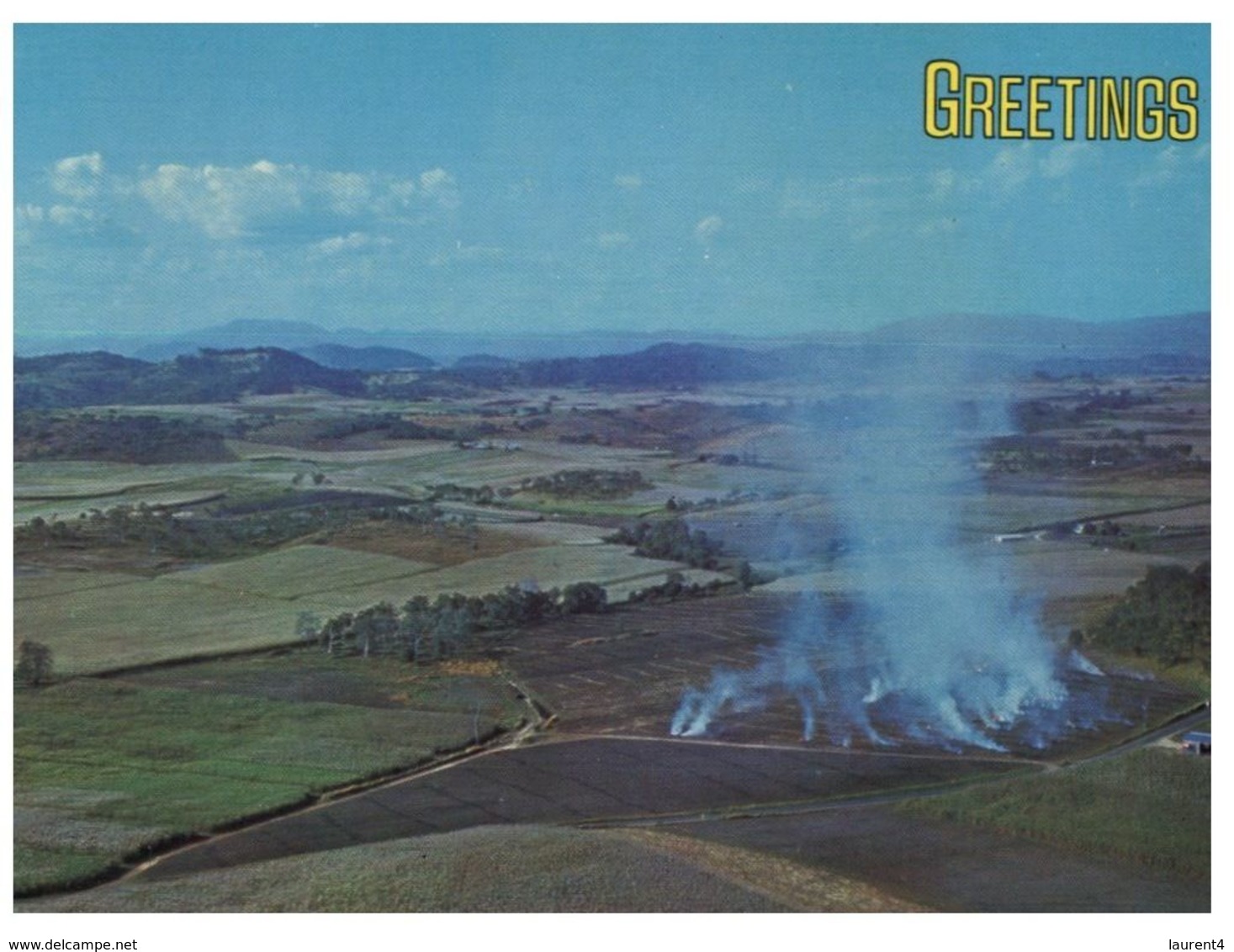 (A 7) Australia - QLD - Sugar Cane Farm - Burning Field - Gold Coast