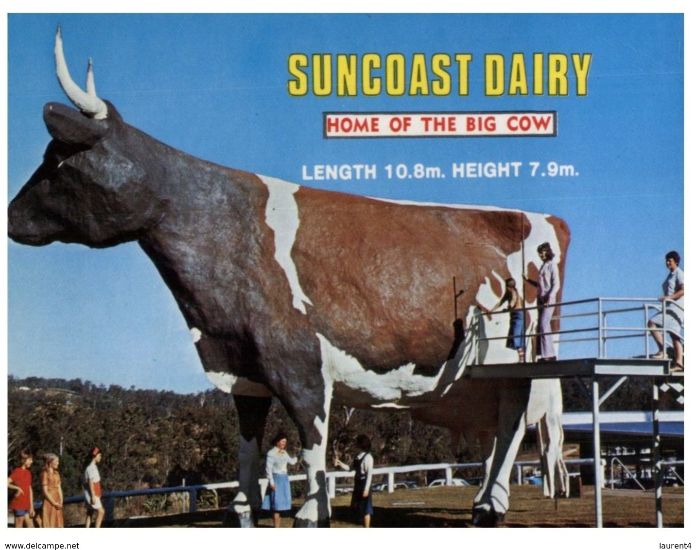 (A 9) Australia - QLD - Suncoast Dairy Near Nambour (big Cow) - Sunshine Coast