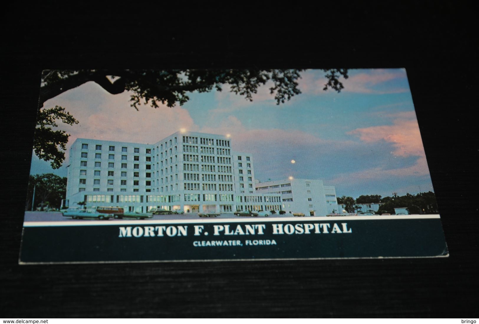 16245-         FLORIDA, CLEARWATER BEACH, MORTON F. PLANT HOSPITAL - Clearwater