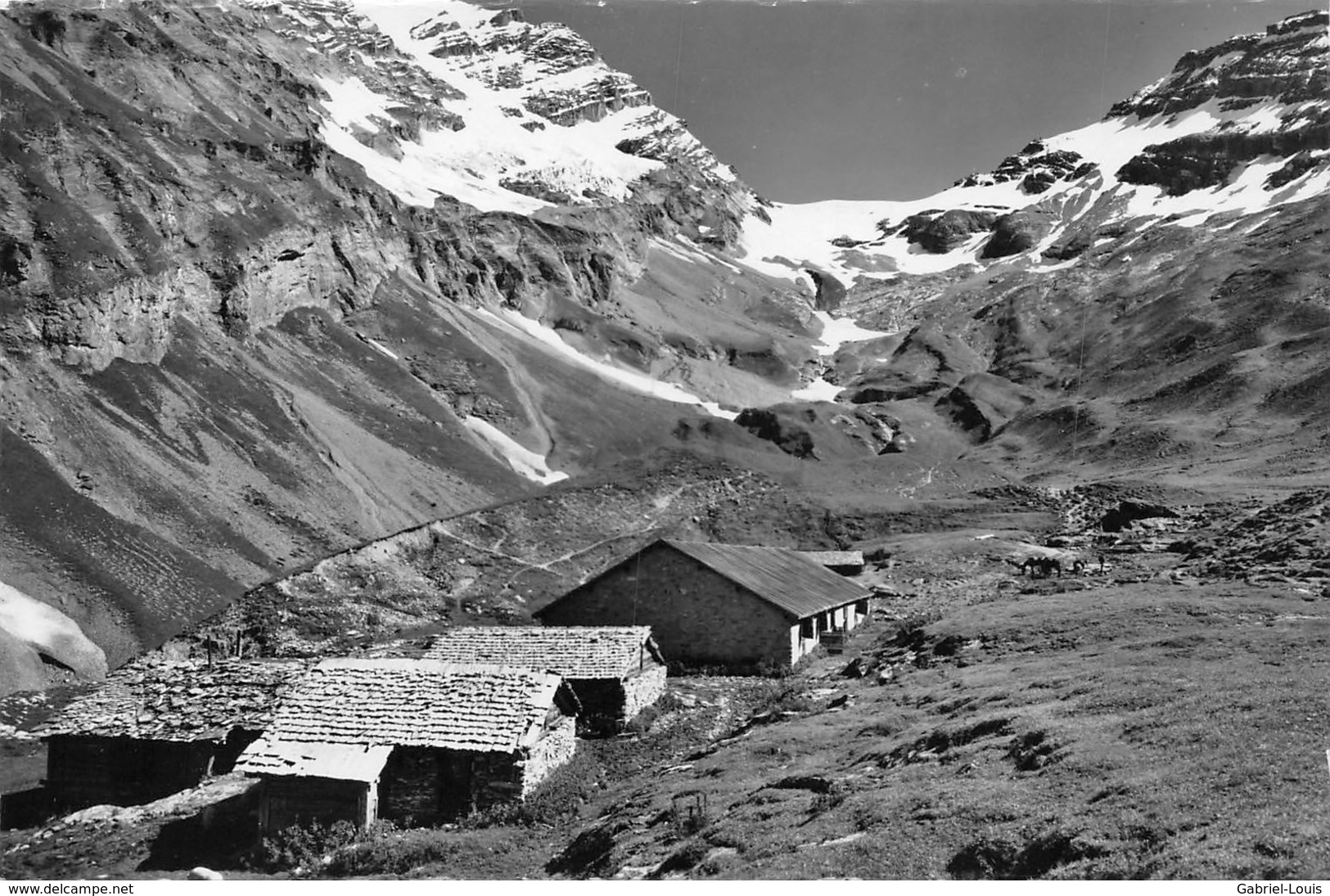 Leukerbad Fluhalp - Loèche-les-Bains - Gizifurgge Dalagletscher - Loèche