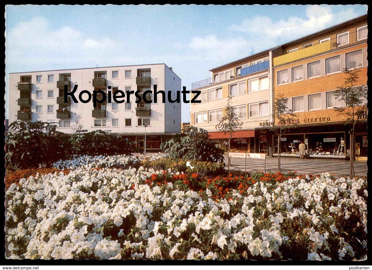 ÄLTERE POSTKARTE SALZGITTER-LEBENSTEDT IN DEN BLUMENTRIFTEN RADIO ELEKTRO Blumen Flowers Ansichtskarte AK Cpa Postcard - Salzgitter