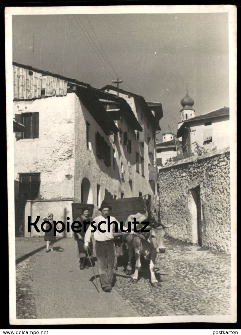 ALTE KARTE LEVICO TERME BAUER KUH Löweneck Trento Trentino Cow Vache Südtirol Italien Italia Ansichtskarte Postcard - Trento