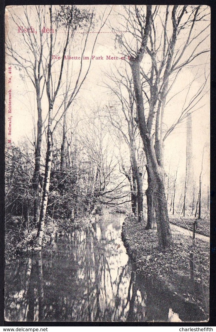 ESCH ALZETTE - DIE ALZETTE IM PARK METZ ET CO 1907 - Esch-sur-Alzette