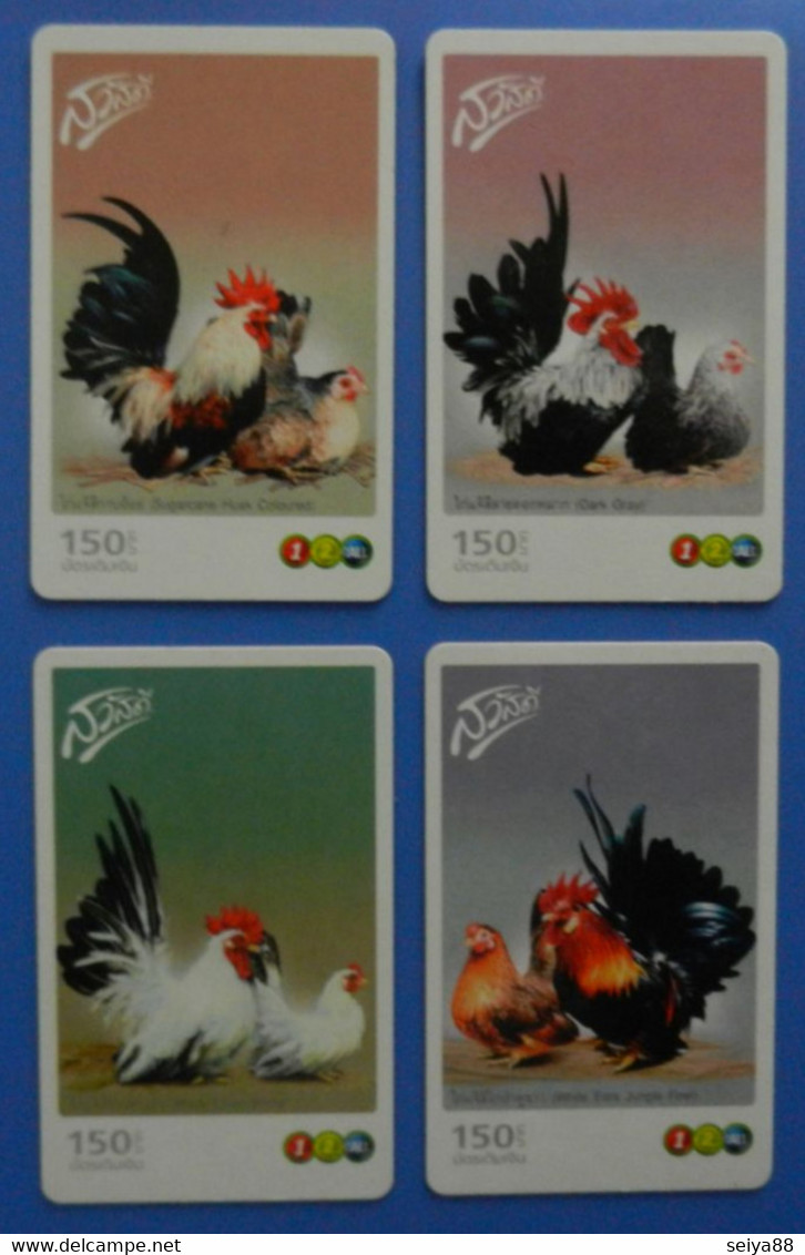 Thailand X4 Chicken Rooster Bird Oiseaux Vogel Pajaro Uccello Birds - Gallinaceans & Pheasants