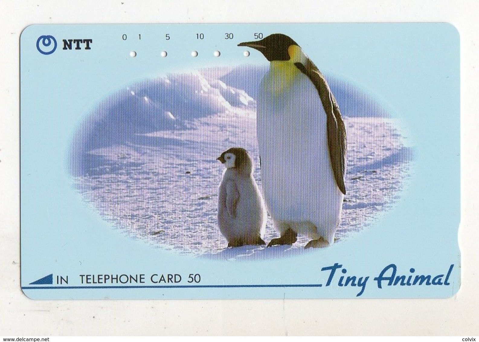 TELECARTE JAPON MANCHOTS - Pinguïns & Vetganzen