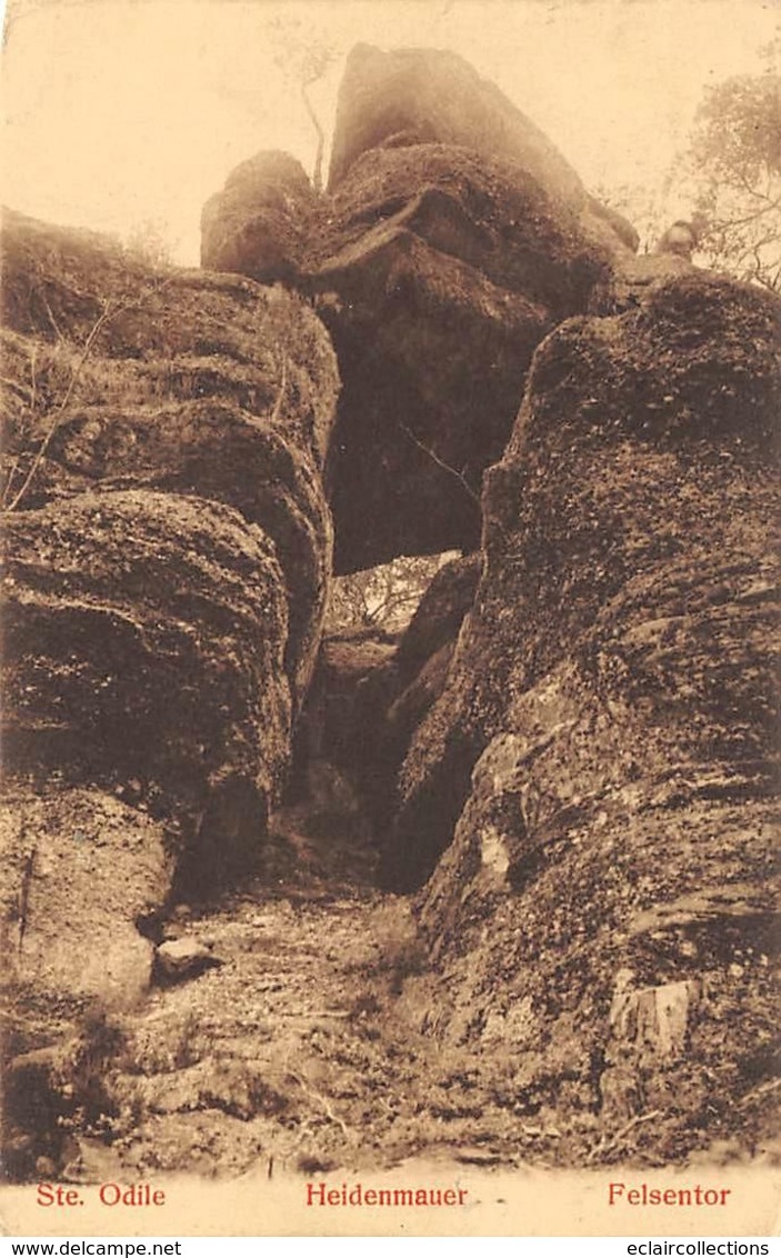 Mont Sainte Odile        67         Heidenmauer   Felsentor     (voir Scan) - Sonstige & Ohne Zuordnung