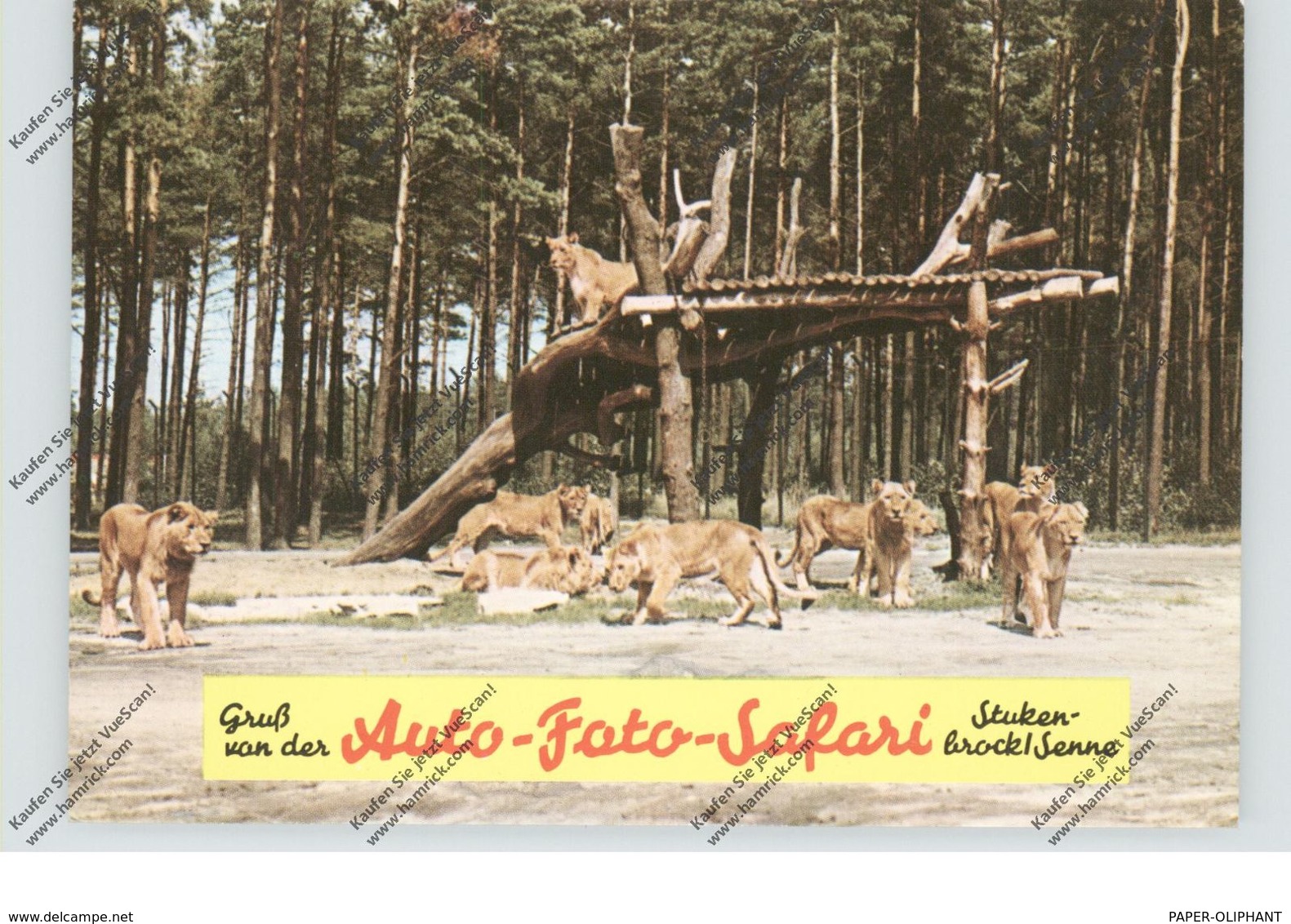 4815 SCHOSS-HOLTE - STUKENBROCK, Safari-Land - Guetersloh