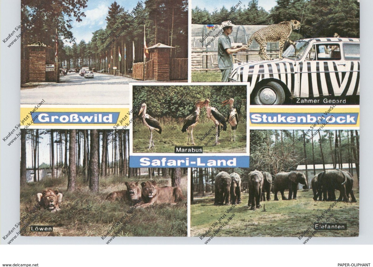 4815 SCHOSS-HOLTE - STUKENBROCK, Safari-Land - Guetersloh