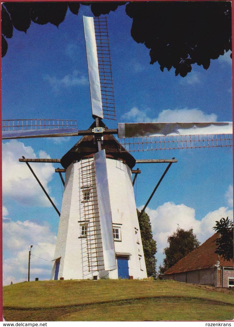 Sint-Niklaas Restaurant Taverne De Witte Molen Gladiolenstraat Windmolen Moulin A Vent Waasland (In Zeer Goede Staat) - Sint-Niklaas