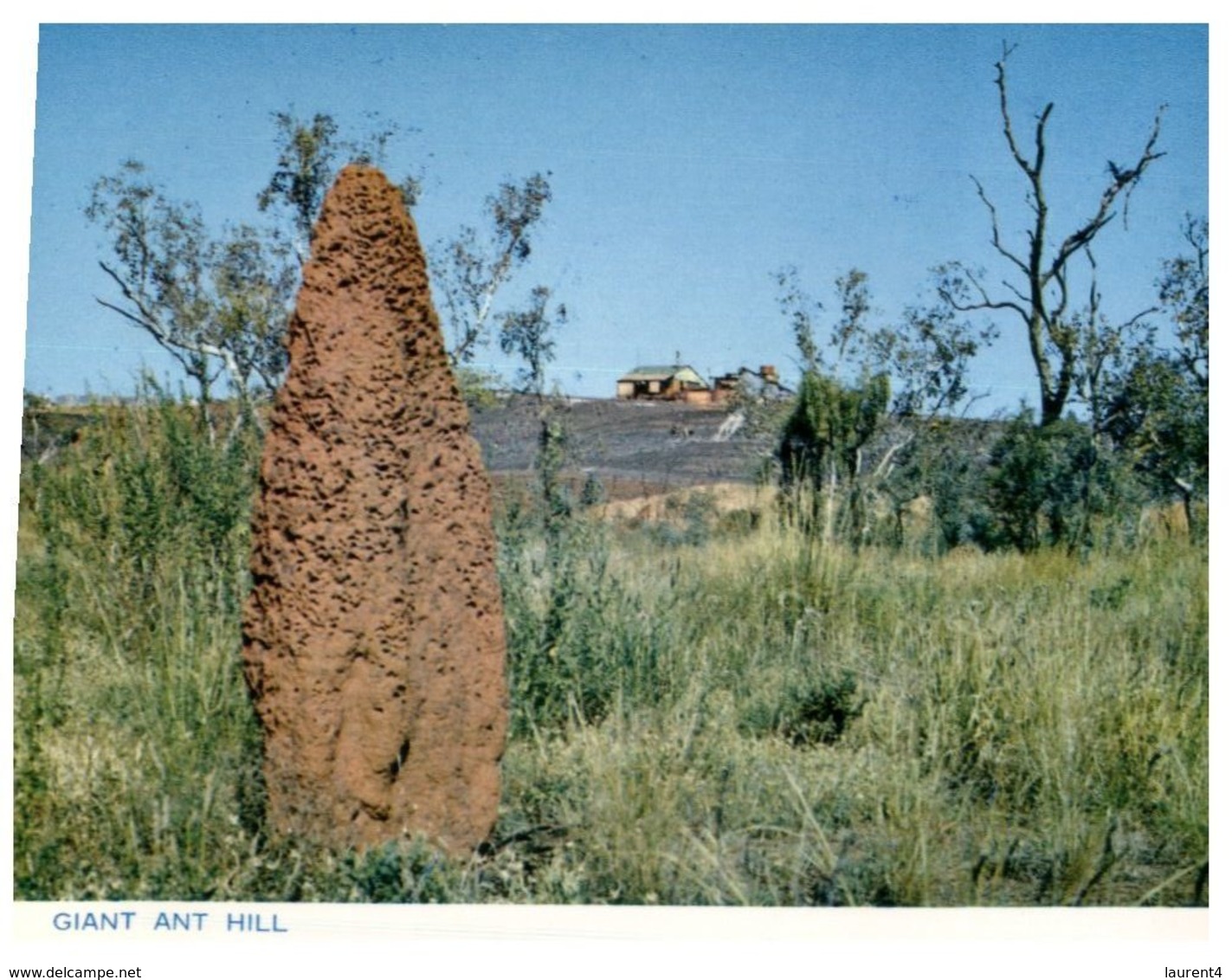(A 11) Australia - NT - Near Tennant Creek - Giant Ant Hill - Non Classés