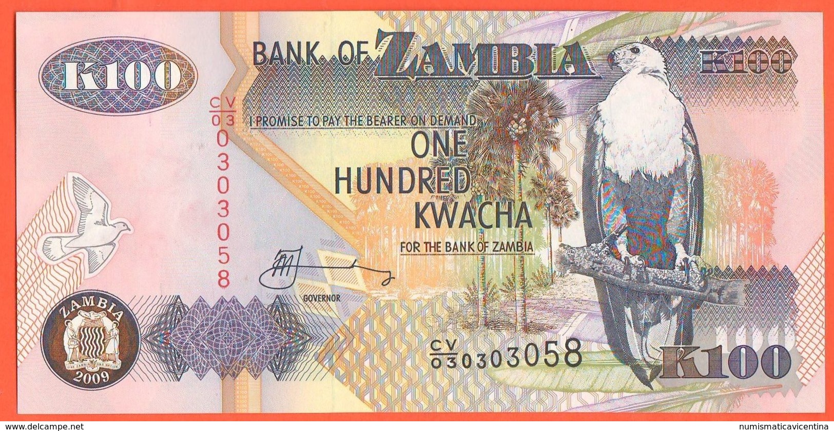 Zambia 100 Kwaca Zambie - Zambia