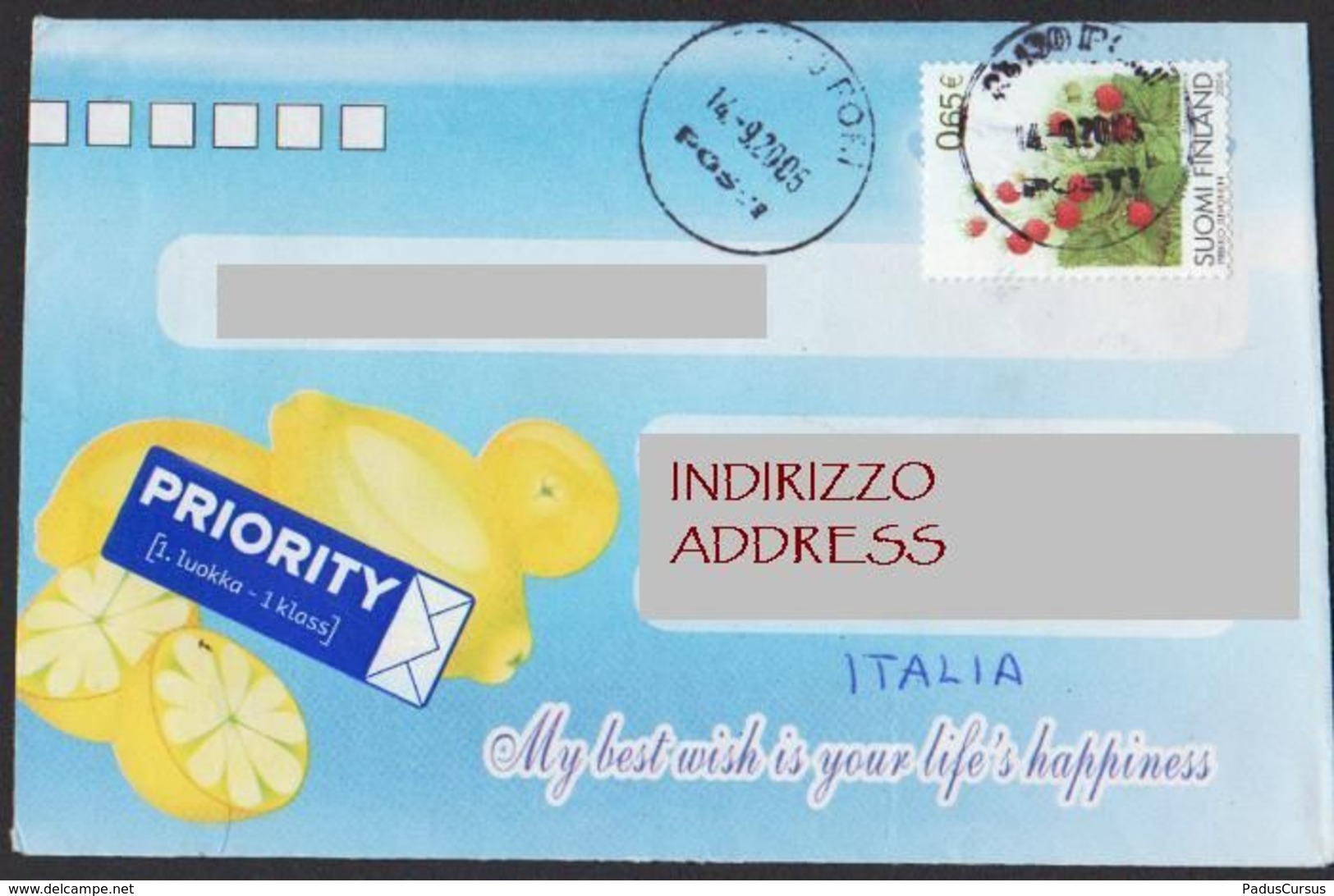 Finland Italia 2005 Shipped - Strawberries Fraises Erdbeeren Fragole 2004 LET00005 - Lettres & Documents