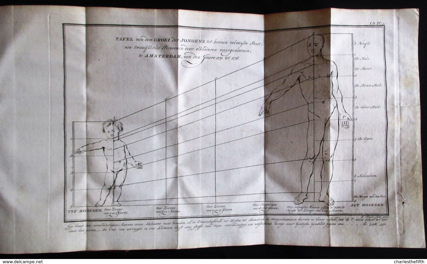 1778 KATECHISMUS DER NATUUR door J.F. MARTINET  4 DELEN KOMPLEET MET 19 UITSLAANDE PLATEN - AMSTERDAM by JOHANNES ALLART