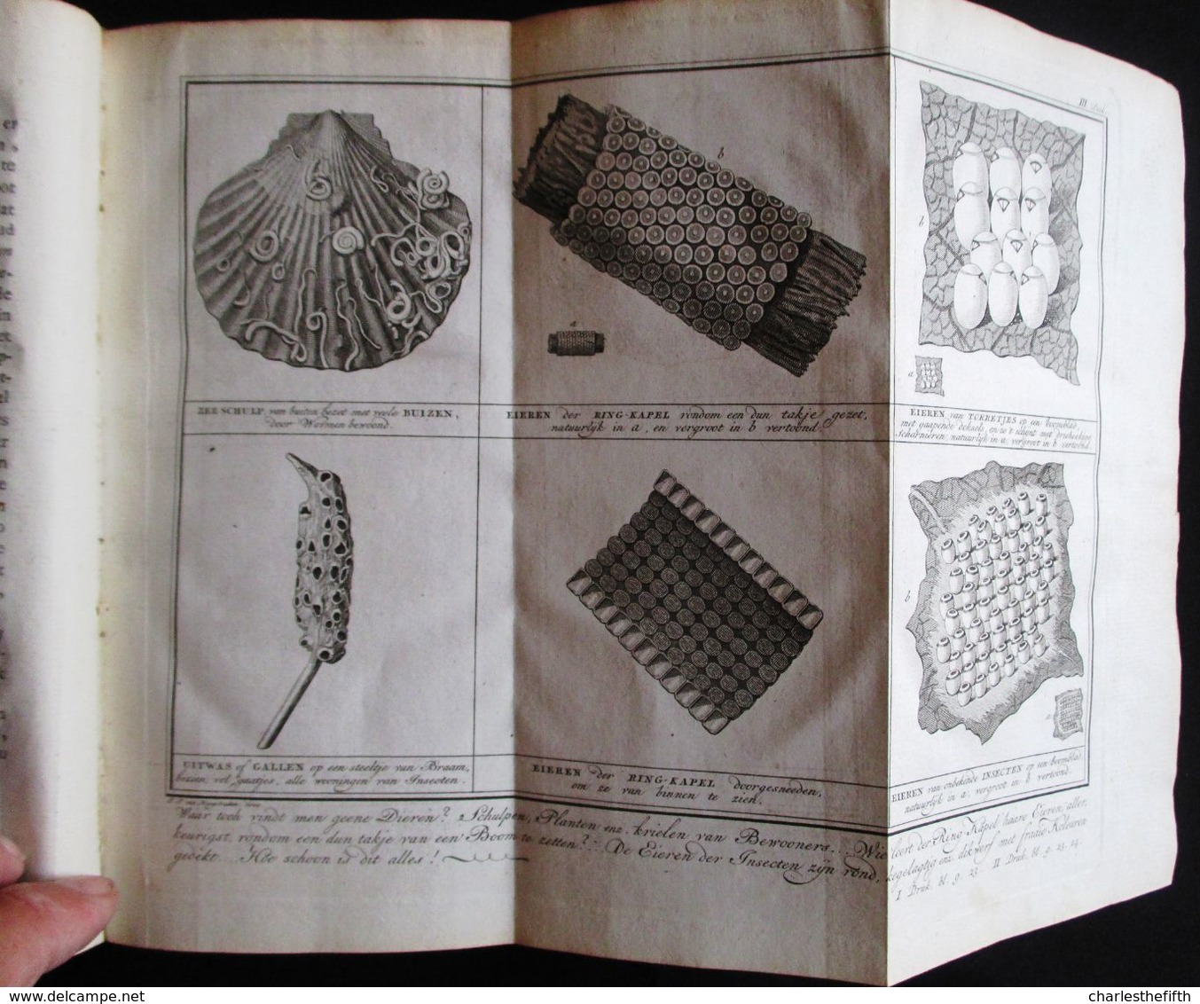 1778 KATECHISMUS DER NATUUR door J.F. MARTINET  4 DELEN KOMPLEET MET 19 UITSLAANDE PLATEN - AMSTERDAM by JOHANNES ALLART