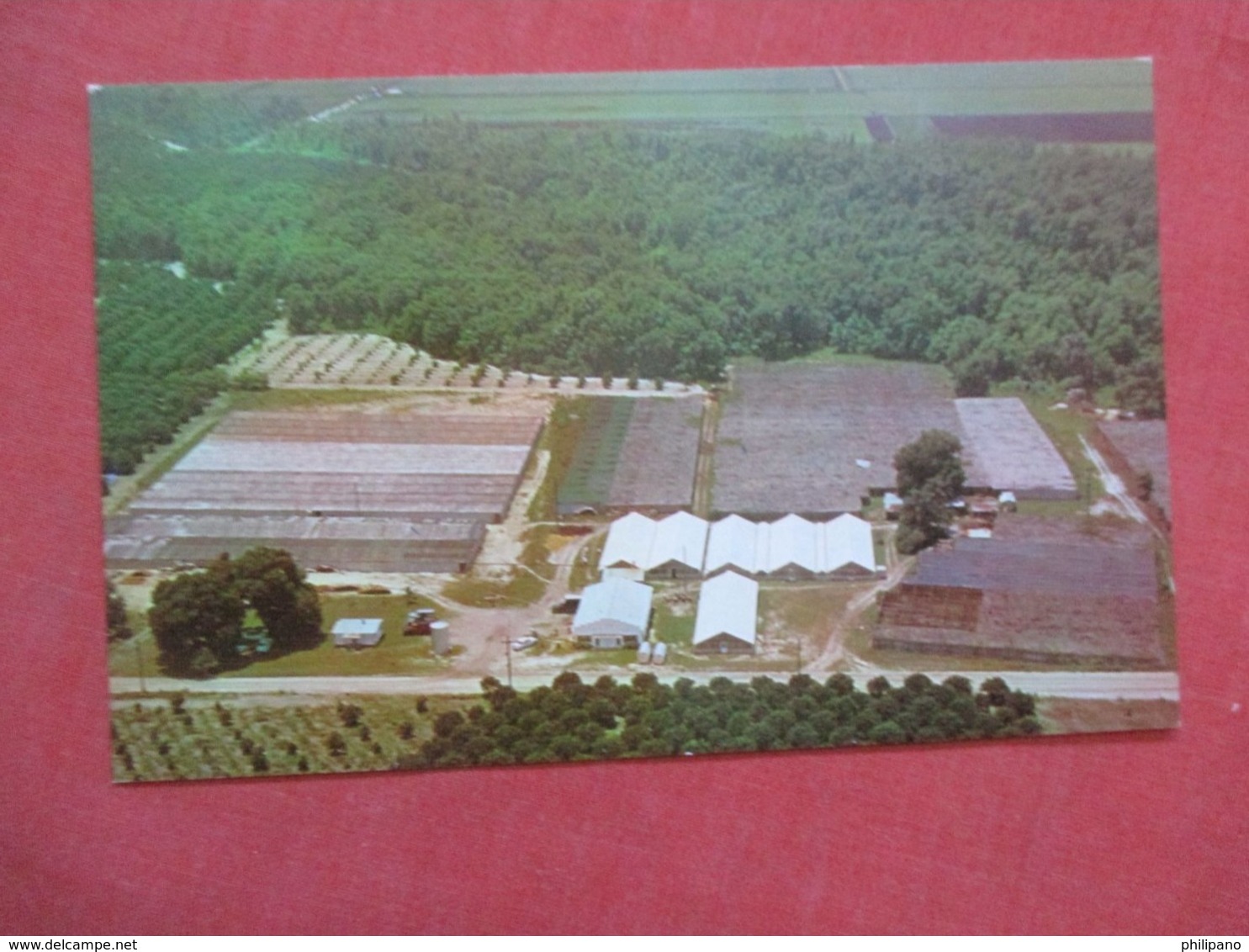 Hogshead's Nurseries & Greenhouses  Plymouth   Florida     Ref 4180 - Ocala