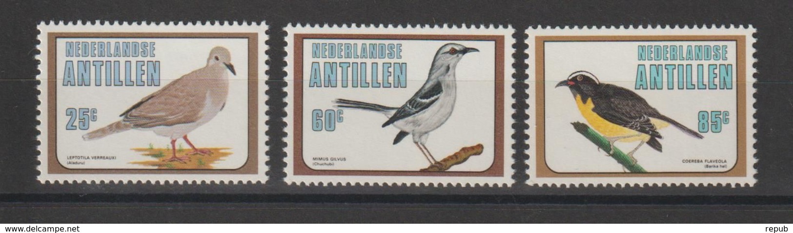 Antilles Néerlandaises 1980 Oiseaux 613-15 3 Val ** MNH - Antille