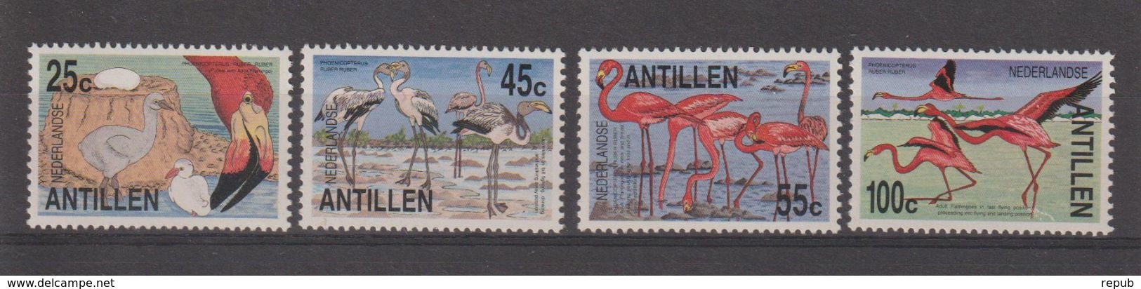 Antilles Néerlandaises 1985 Oiseaux Flamand Rose 732-35 4 Val ** MNH - Antilles