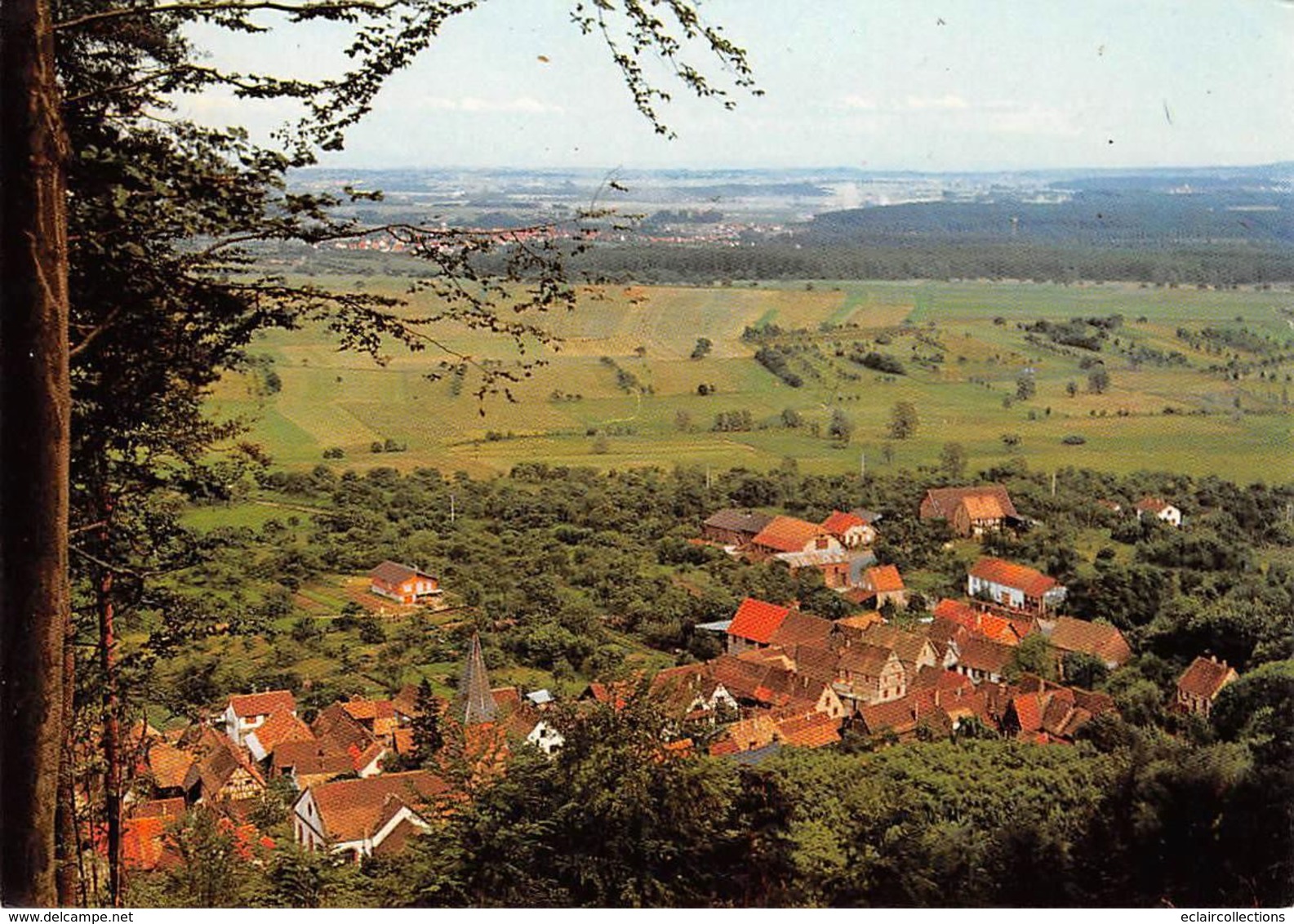 Ernolsheim En Saverne           67         Vue Sur La Plaine    10x15       (voir Scan) - Other & Unclassified