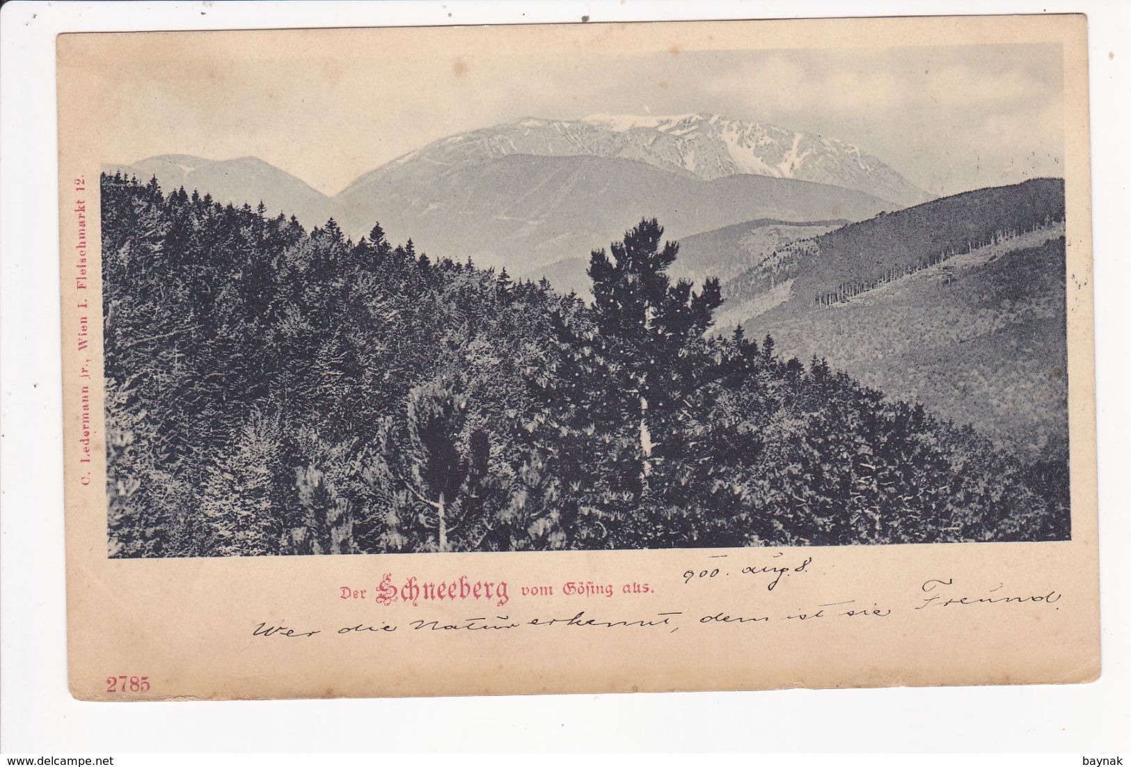 N.O.178  --   DER SCHNEEBERG VOM GOSING AUS  --  1900 - Schneeberggebiet
