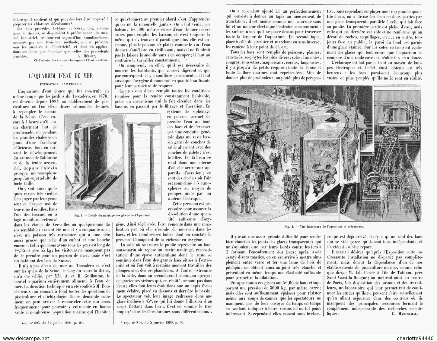 L'AQUARIUM D'EAU De MER   à L'EXPOSITION UNIVERSELLE DE  1900 - Other & Unclassified