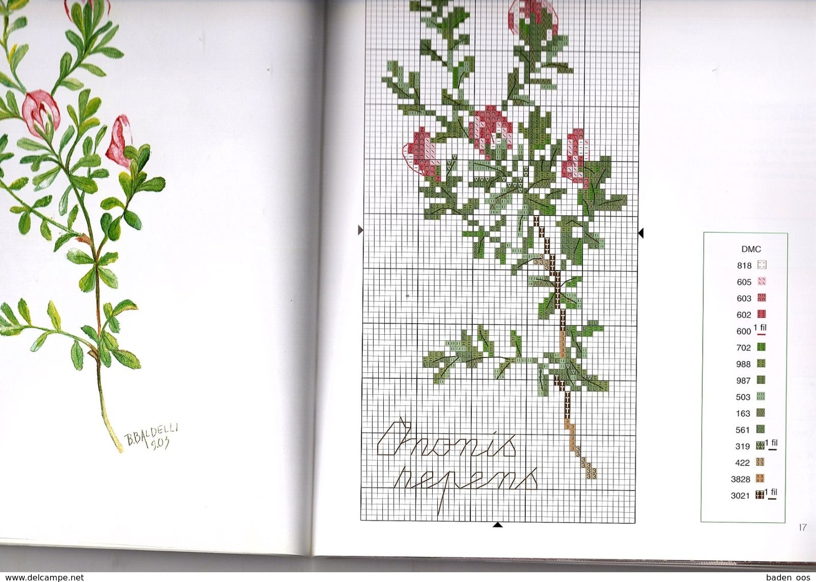 Fleurs De Champs Au Point De Croix - Bernadette Baldelli - Cross Stitch